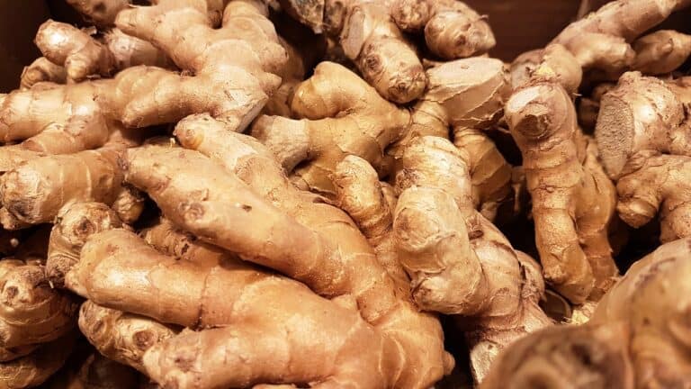 ginger roots