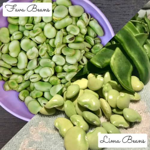 Fava Beans vs. Lima Beans What's The Difference?