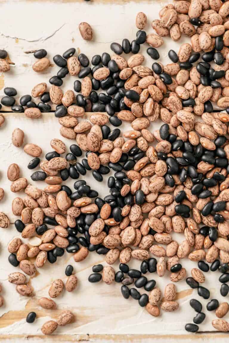 Black Beans vs Pinto Beans What's The Difference?