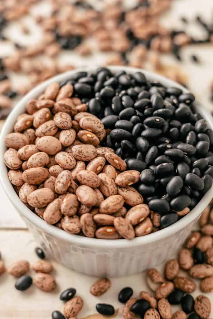 Black Beans vs Pinto Beans What's The Difference?