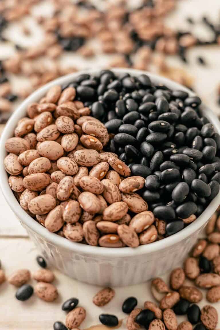Black Beans vs Pinto Beans What's The Difference?