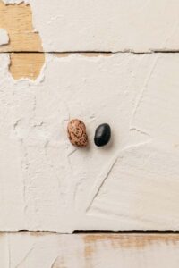 Black Beans vs Pinto Beans: What's The Difference?