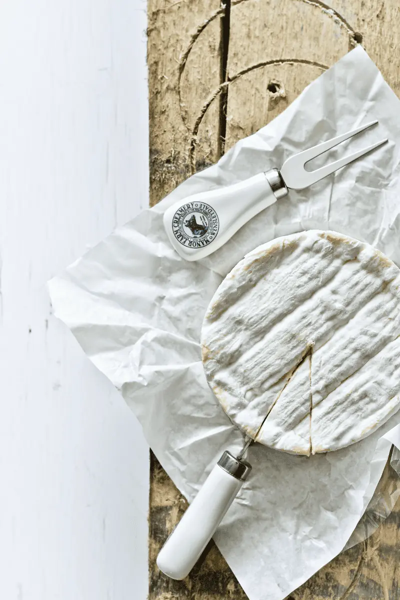 Brie Cheese Substitutes