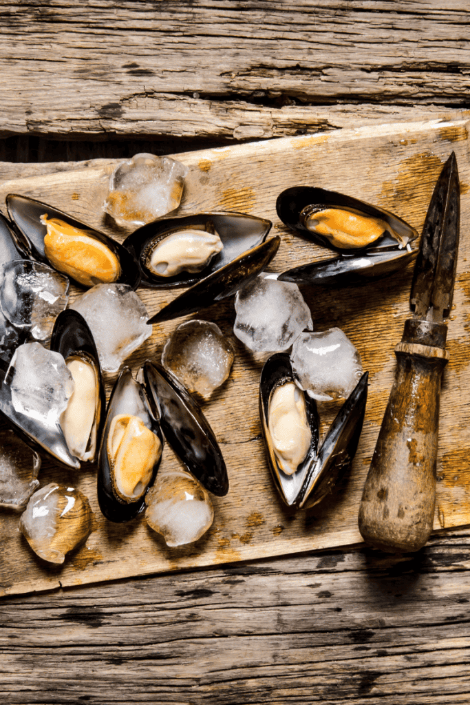 How To Store Clams