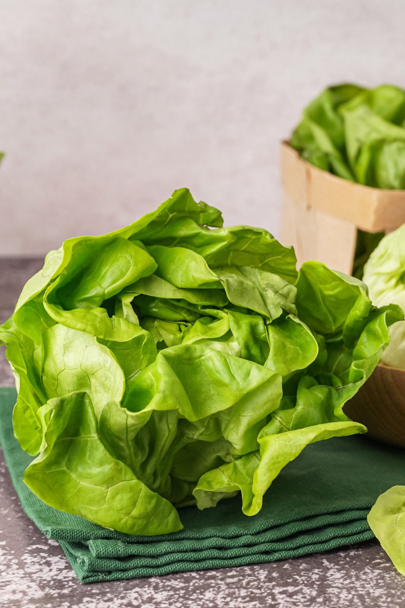How To Store Boston Lettuce