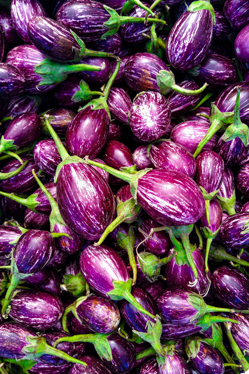 How to Store Eggplants