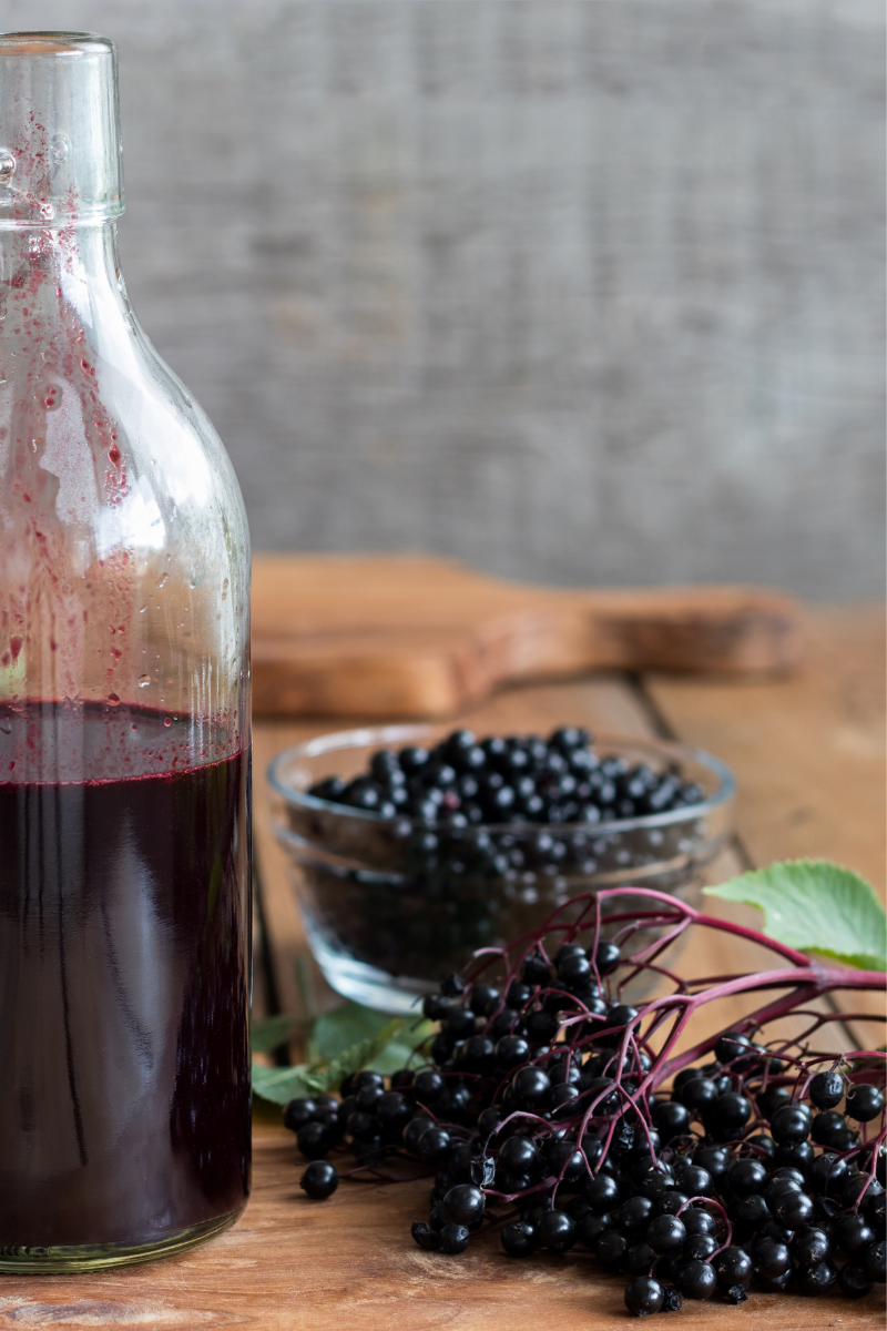 How to Store Elderberries