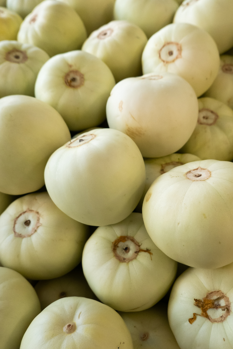 How to Store Honeydew Savory Suitcase