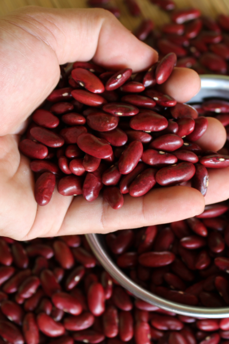 How To Store Kidney Beans Savory Suitcase