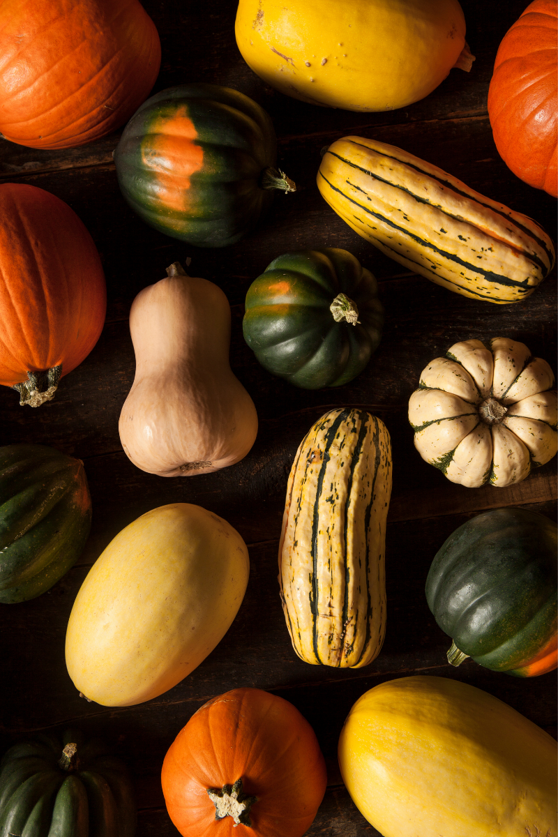 How to Store Squash