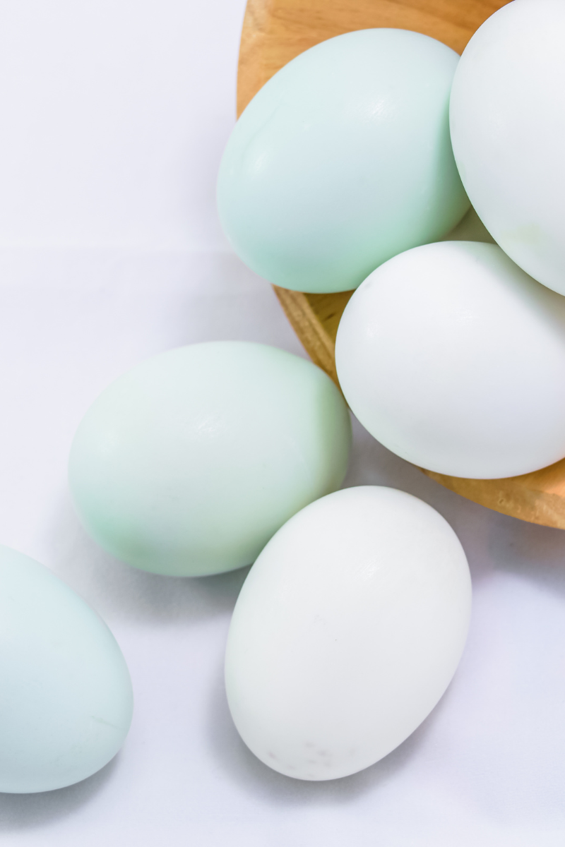 Duck Egg Substitutes
