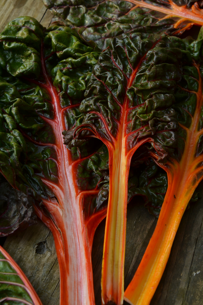 How To Store Rainbow Chard