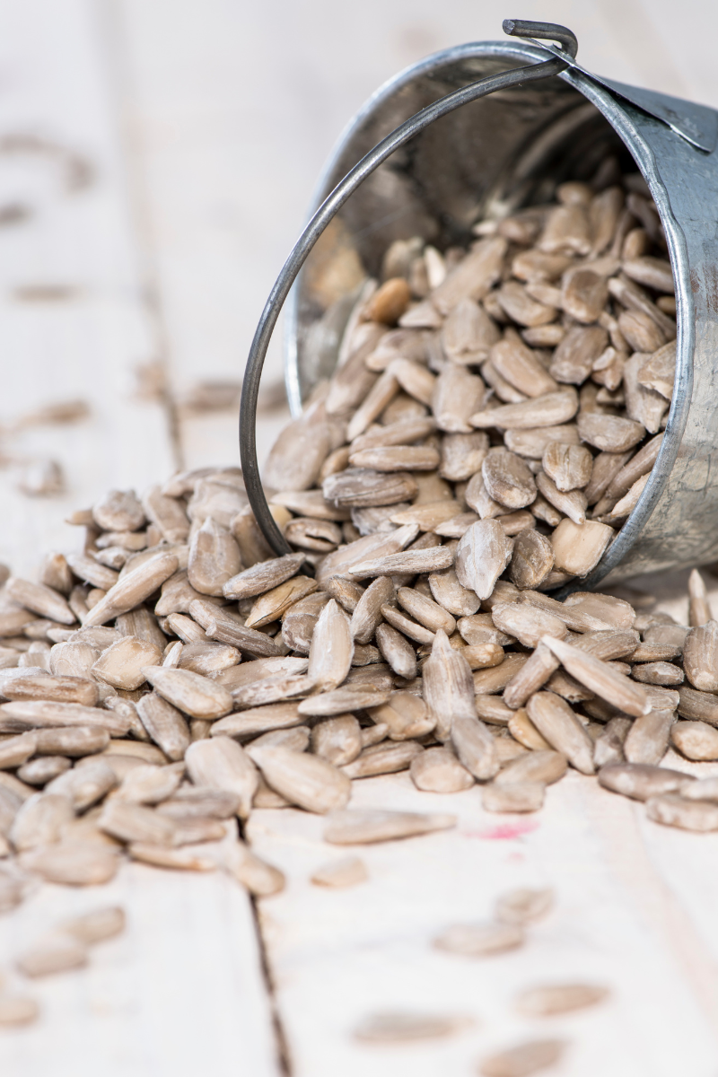 Sunflower Seed Substitutes
